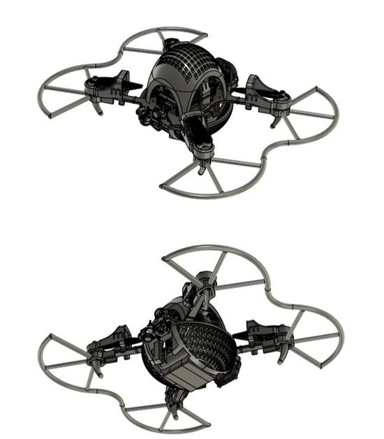 WhatsApp Image 2026-01-21 at 22.15.23.jpeg